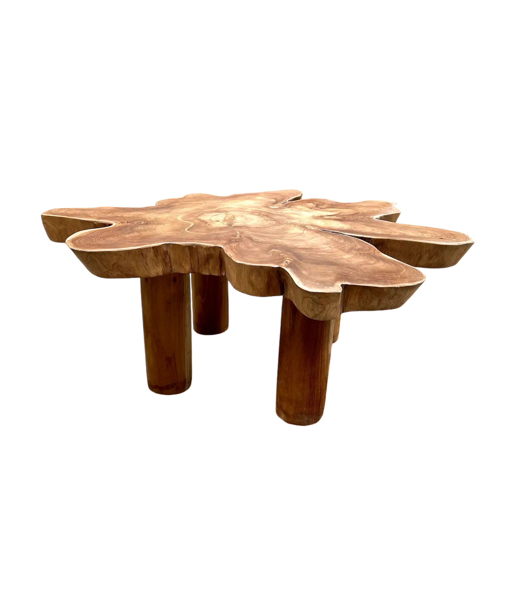 Organic Coffee Table